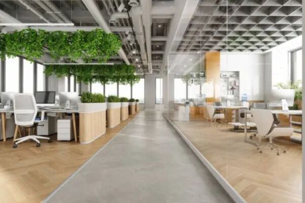 The Evolution of Office Spaces: Adapting to Modern Work Trends